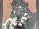Vinyl The Joy Formidable The Big Road Lp