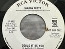 Sharon Scott - Could It Be You - Rare Promo Original NORTHERN Soul 45 NM-