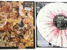 CARCASS - REEK OF PUTREFACTION Splatter Vinyl LP /100 2013 FDR Autopsy Repulsion