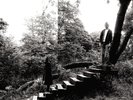 Timber Timbre - Timber Timbre / Vinyl LP