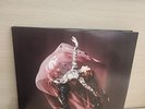 LINDSEY STIRLING LP Brave Enough 2023  Cranberry Swirl M/NM