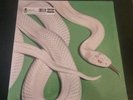 Deftones Private Music Vinyl Record LP Hot Topic Lily Pad Green Sold Out