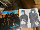 The Ramones -  Animal Boy - 1986 LP w/Inner Sleeve