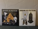 ANGINE DE POITRINE Vol. 1 + Vol. 2 - BUNDLE - IN HAND NOW