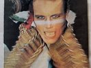 12“ Vinyl LP Adam Ant RARE Zimbabwe (4R) ASF 2594 Kings Of The Wild Frontier