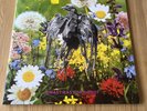 Current 93 - Swastikas for Noddy/Crooked Crosses for the Nodding God - 2LP