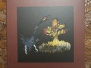 Drive-By Truckers  - The Definitive Decoration Day (New West Red/Black Vinyl)