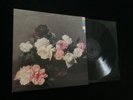 X12 LPs New Order, XTC, Japan, Dexys, Talk Talk, U2, Kraftwerk, R.E.M, Pet Shop