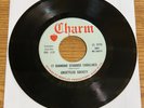PSYCH GARAGE 45 UNSETTLED SOCIETY 17 DIAMOND STUDDED CADILLACS / PASSION SEEDS