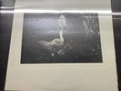Cy Timmons ‎- The World's Greatest Unknown LP Erewhon - WITH COVER 1976 OG CLEAN