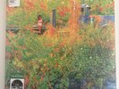 Jhene Aiko Trip RSD 2026 Picture Disc 2 LP Vinyl /2000 Exclusive Sold Out