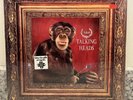 Talking Heads – Naked ; 1988 LP 1ST EDITION FACTORY SEALED (NOT A CLUB EDITION)