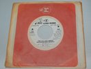 THE KINKS The Village Green Preservation Society MONO Reprise Promo 7