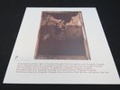 Pixies - Surfer Rosa 12