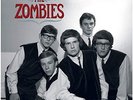 Zombies - In the Beginning... - Vinyl Record 12 Album Box Set - F11501z