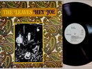 Leaves, the Hey Joe LP Germany Reissue Line Garage Rock p