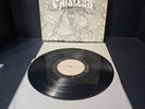 The Paisleys Cosmic Mind At Play Vinyl LP 1st Press (Red Label)Peace VG+