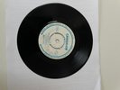 The Perfect Day - House Of Love - Super Rare Psychedelic/Pop Rock 7