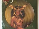 Cher  Take Me Home, Vinyl Picture Disc NBPIX 7133 US 1979, Sealed, New READ-