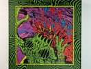 King Gizzard & The Lizard Wizard Live At Red Rocks 2022 Box Set 12xLP Vinyl