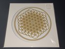 Bring Me The Horizon – Sempiternal  10th Anniversary Picture Disc Vinyl LP New