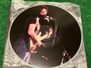 The Grateful Dead Live At The Felt Forum Picture Disc Boot Lp Vinyl Record LMTD