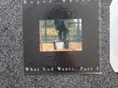 roger waters what god wants 12
