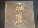 Black Moth Super Rainbow Dandelion Gum Black Vinyl LP Rad Cult 2009 12