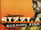 Sizzla Burning Fire Vinyl LP Penitentiary Records Near Mint 33 RPM