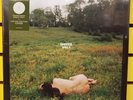Kacey Musgraves - Deeper Well - LP - TRANSPARENT CREAM - LIMITED EDITION COVER