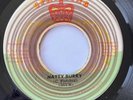 SILK SATIN VELVET & WOOL Natty Burry/Satan Pickney ROOTS REGGAE DUB 45 VG+*hear*
