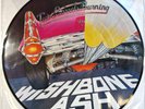 Wishbone Ash Twin Barrels Burning LP Album vinyl record limited Picture Disc