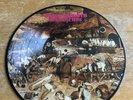 Black Sabbath 'Greatest Hits' UK Picture Disc Vinyl LP, Zeema Records READ