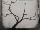 The Airborne Toxic Event - Self-Titled - New 1 LP White With Red Splatter Vinyl