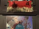 Paramore - All We Know Is Falling Vinyl (Clear with Multicolored Splatter)