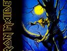 Iron Maiden Fear Of The Dark NEAR MINT Parlophone 2xVinyl LP