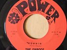 The Shaggs Hummin/I Who Have Nothing Fuzz Garage, Psych 1967 Power