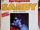 Bruce Springsteen Sandy