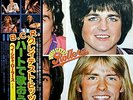 Bay City Rollers - Greatest Hits, LP, (Vinyl)