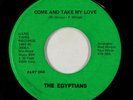 70s Soul 45 - Egyptians - Come And Take My Love - Hard Times