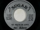 70s Soul 45 - Roy Roberts - So Much In Love - Sugar - repro VG++