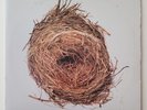 WILCO A GHOST IS BORN(2xLP) '2005 1st US PRESSING(Limited 2,500 Copies) EX/NM