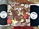 M- 1969 UK   SMALL FACES   