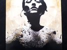 CONVERGE Jane Doe 2xLP Deathwish Pressing