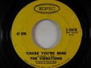 Northern Soul 45 - Vibrations - 'Cause You're Mine - Epic
