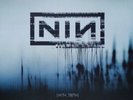 Nine Inch Nails / With Teeth 2005 US Original 2LP Nothing Records B000455301