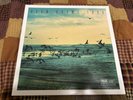 RYAN ADAMS 1989 SEA FOAM GREEN Vinyl Barnes & Noble Exclusive TAYLOR SWIFT