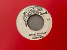 JAMAICAN PANTHER. THE SLICKER. JOHNNY(TOO)BAD / VERSION. VG