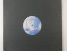 Theo Parrish 