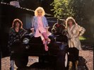 The Honeys It’s Like Heaven Pink Vinyl LP EX Rare Beach Boys Related Girl Group